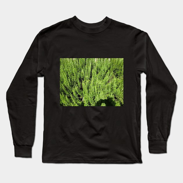 A sea of ​​rosemary Long Sleeve T-Shirt by walter festuccia